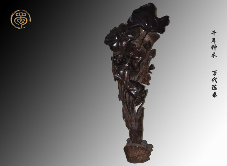 【荷花】烏木金絲楠