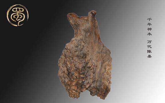 樹(shù)瘤花瓶L-HP1